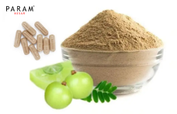 Amla Extract Capsules